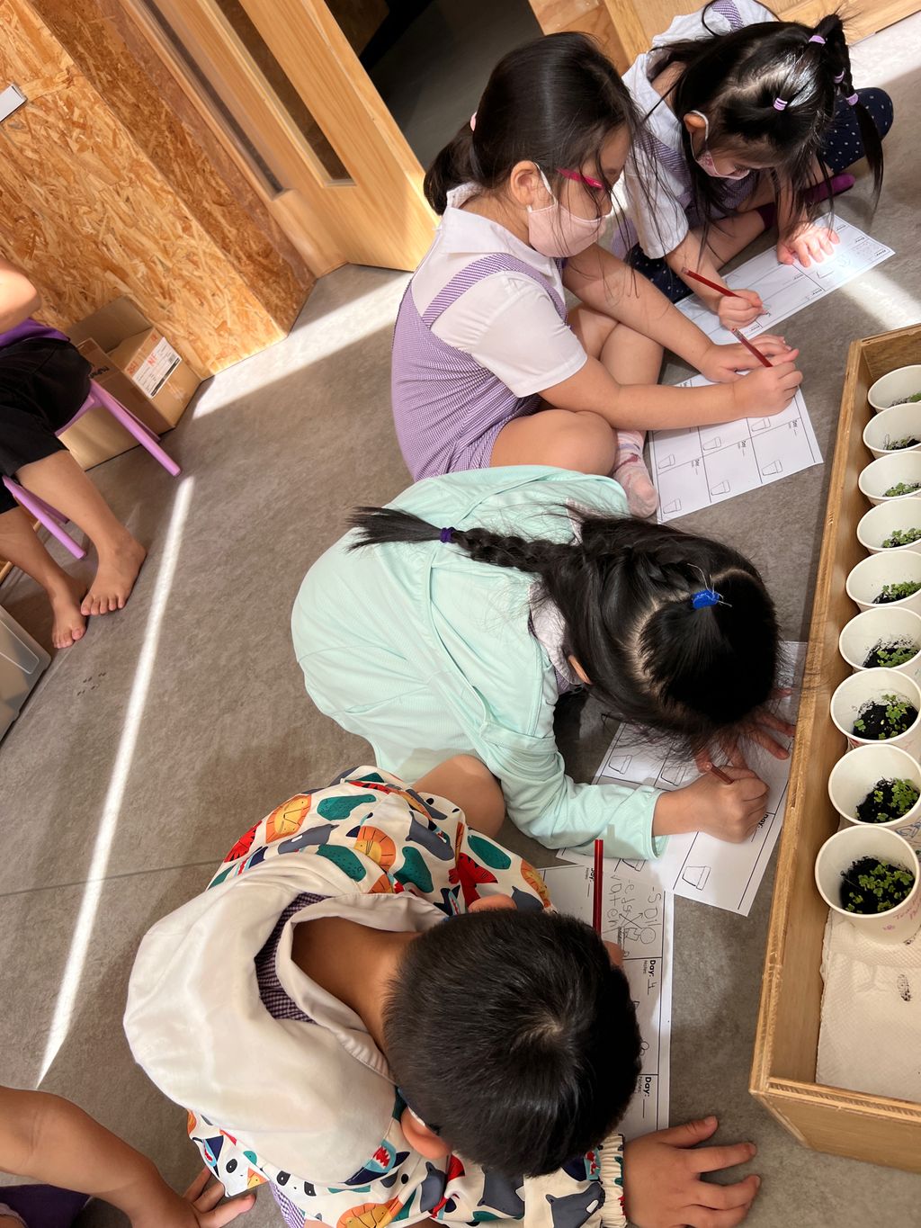 Investigating How Plants Grow π±π - Growing Our Own Vegetables β photo 2