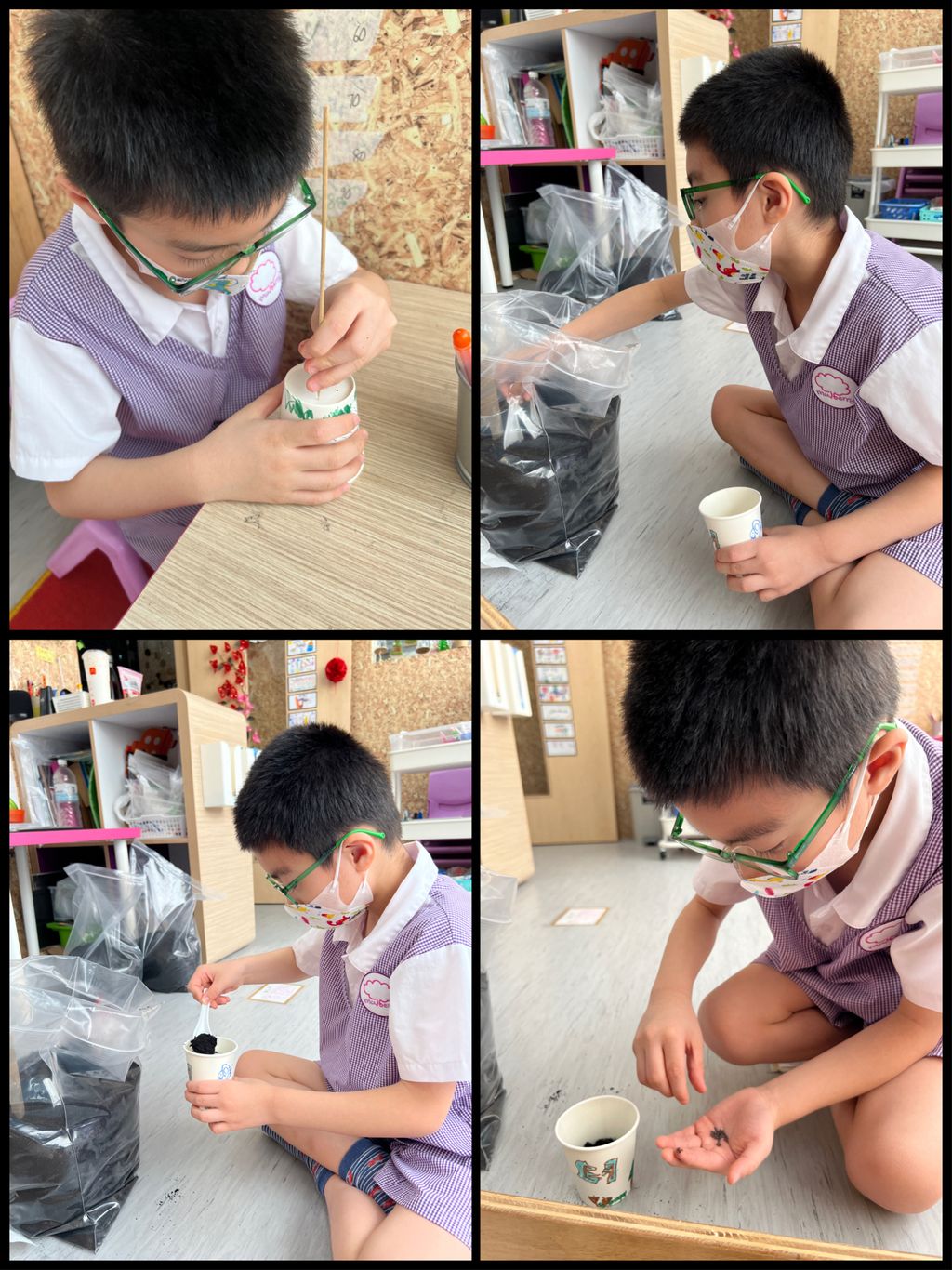 Investigating How Plants Grow π±π - Growing Our Own Vegetables β photo 4