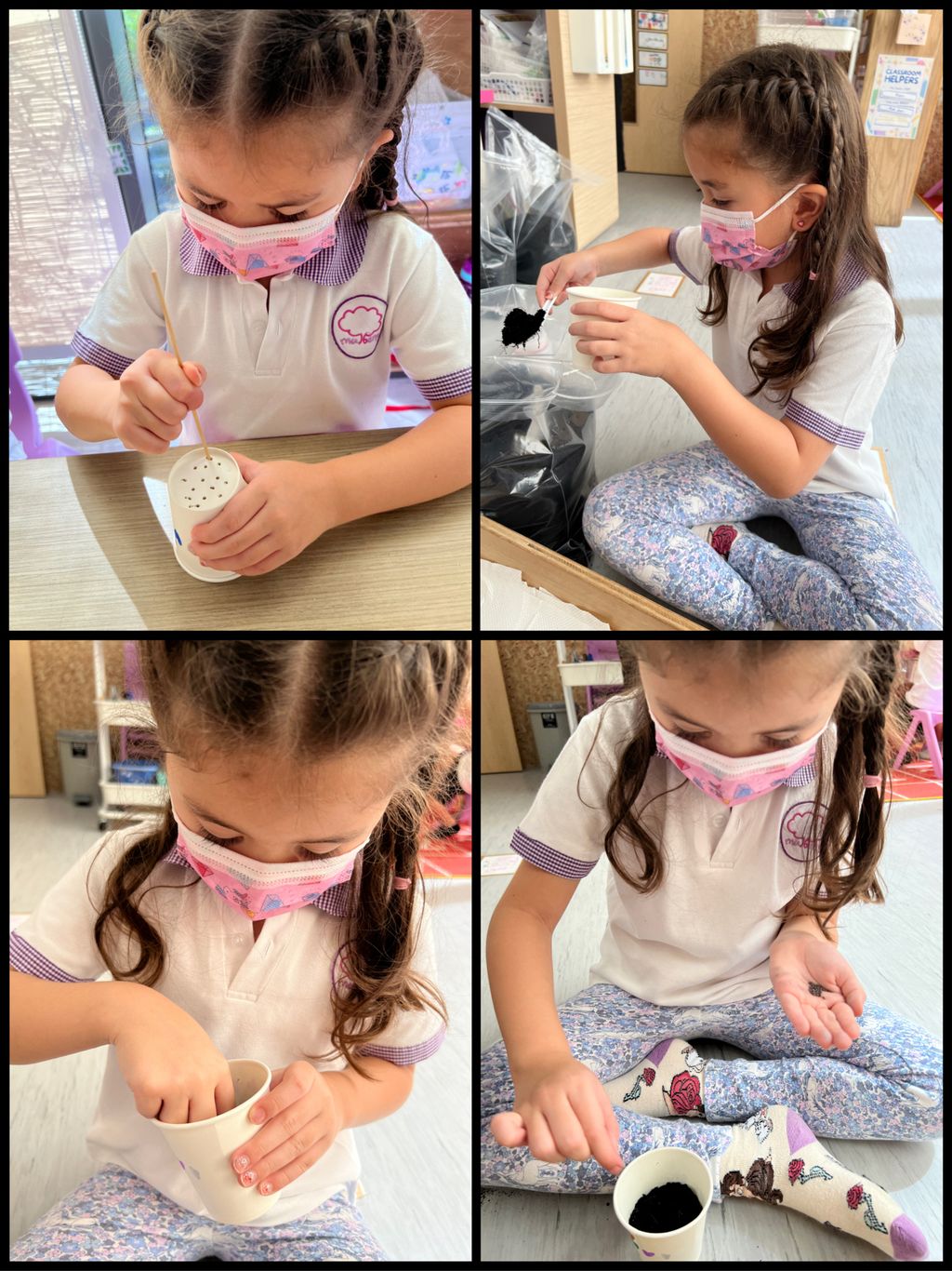 Investigating How Plants Grow π±π - Growing Our Own Vegetables β photo 6