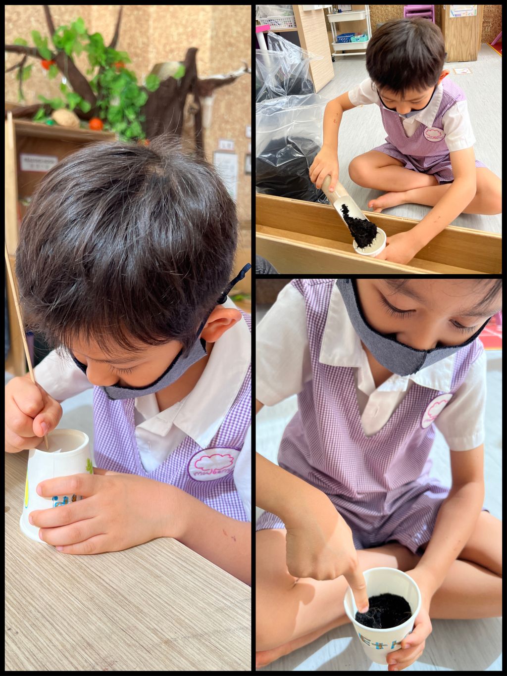 Investigating How Plants Grow π±π - Growing Our Own Vegetables β photo 10
