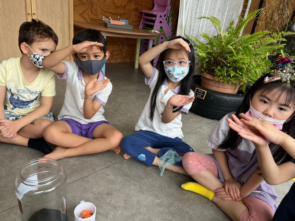 Investigating How Plants Grow π±π - Planting Without Seeds β photo 2
