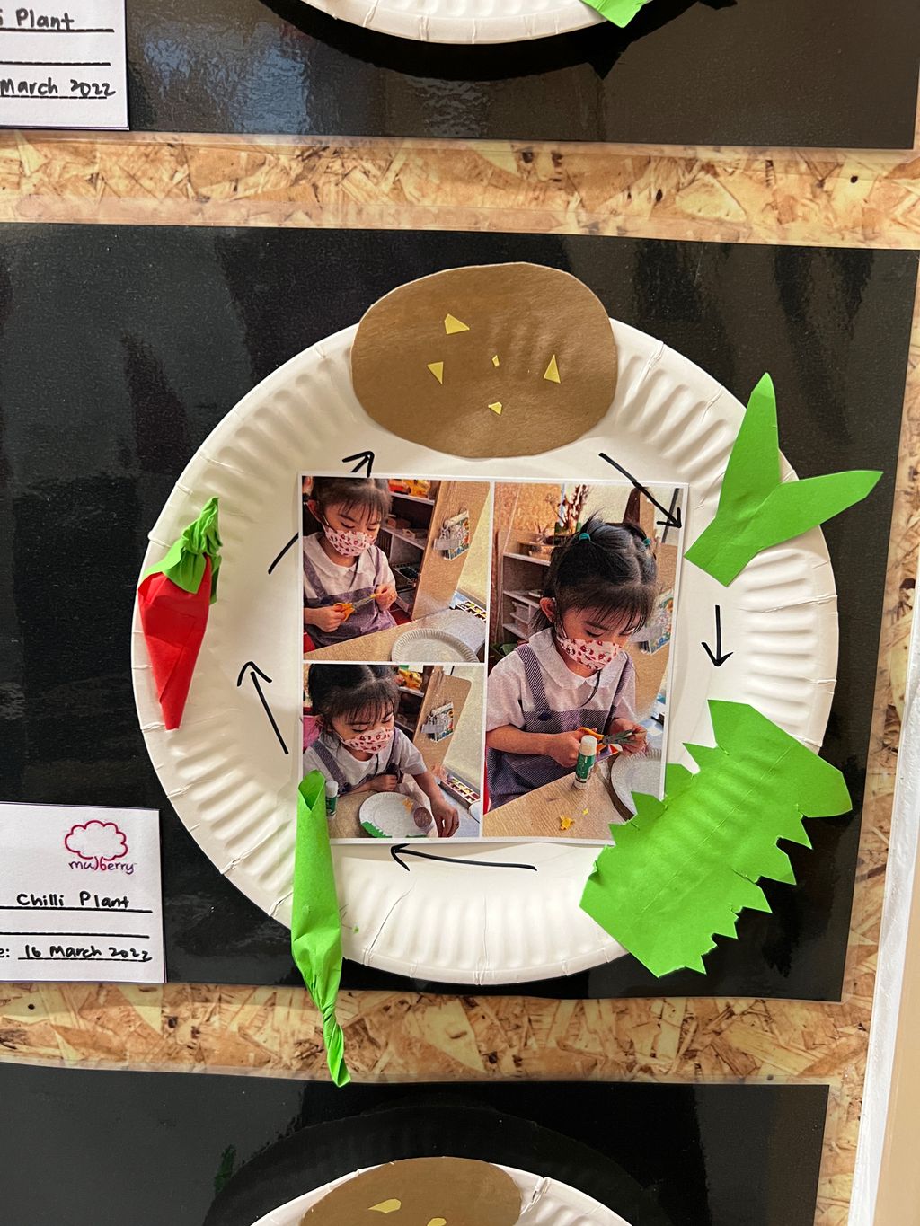 Investigating How Plants Grow π±π - Observing The Life Cycles of Our Plants (Chilli Plant) β photo 4