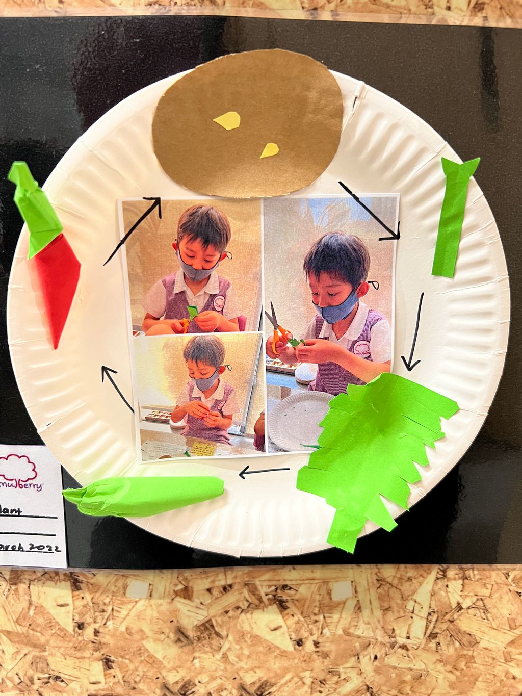 Investigating How Plants Grow π±π - Observing The Life Cycles of Our Plants (Chilli Plant) β photo 5