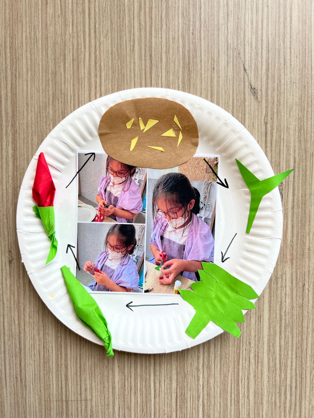 Investigating How Plants Grow π±π - Observing The Life Cycles of Our Plants (Chilli Plant) β photo 6