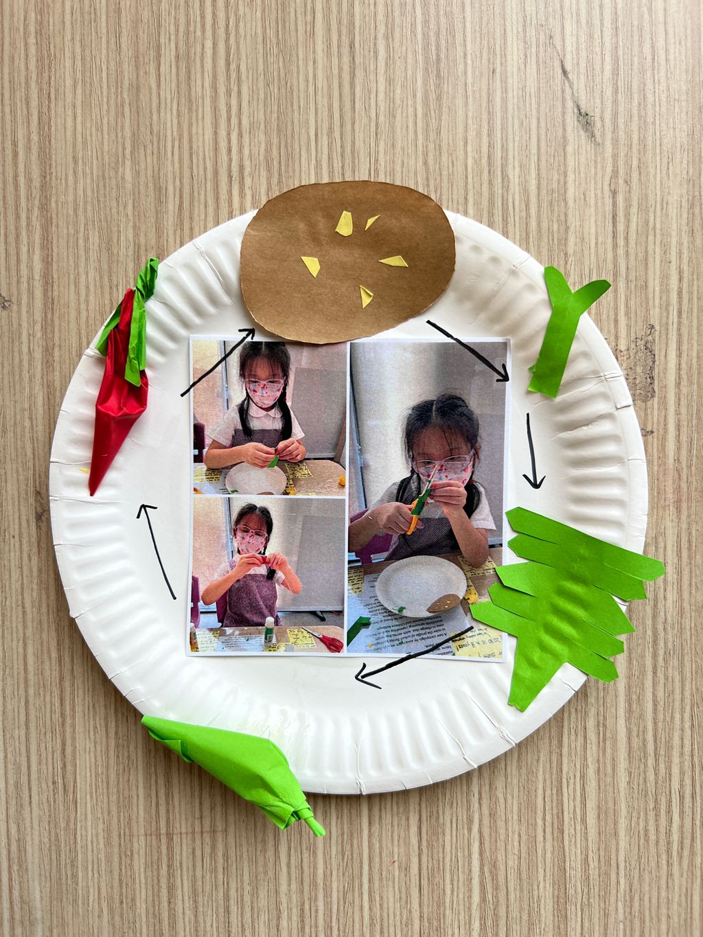 Investigating How Plants Grow π±π - Observing The Life Cycles of Our Plants (Chilli Plant) β photo 8