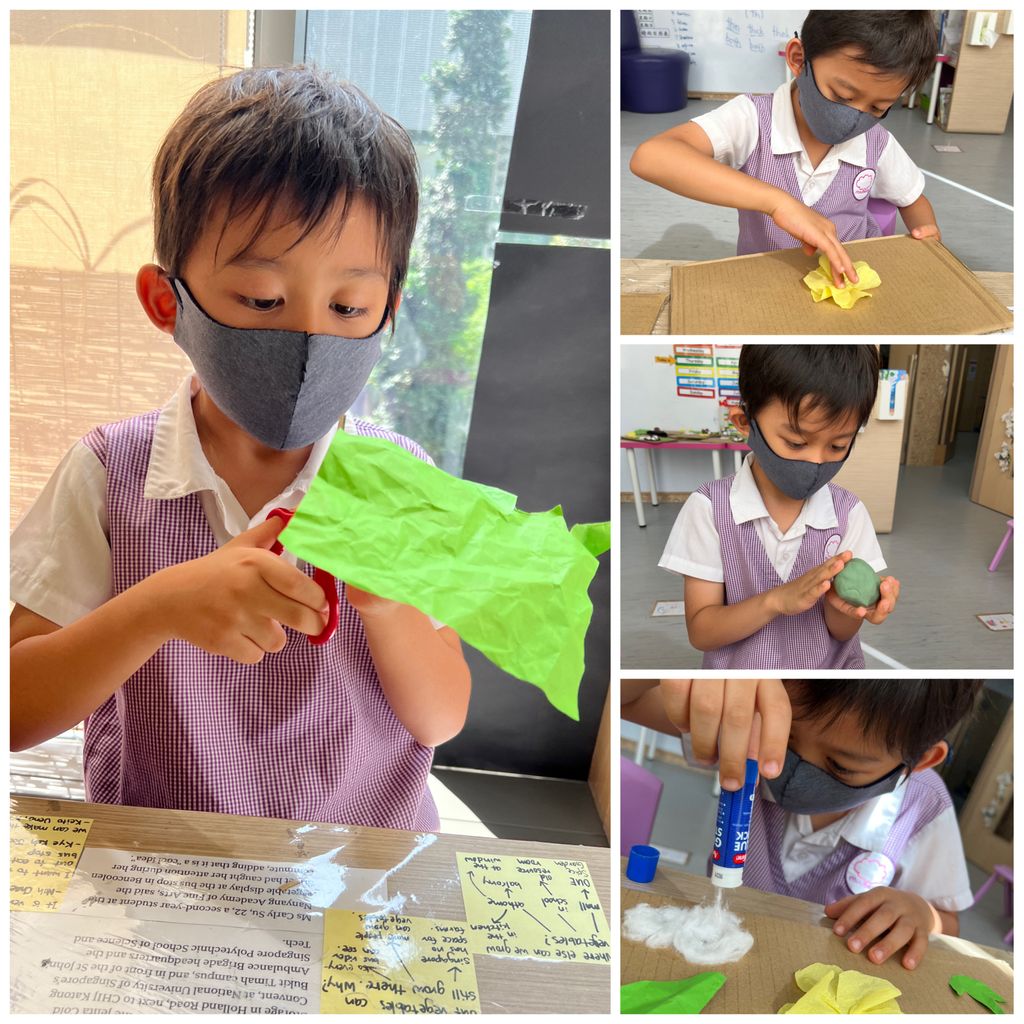 Investigating How Plants Grow π±π - Observing The Life Cycles of Our Plants (Cotton Plant) β photo 3