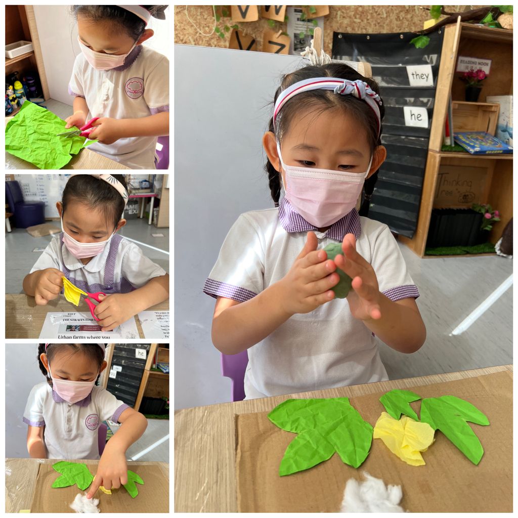 Investigating How Plants Grow π±π - Observing The Life Cycles of Our Plants (Cotton Plant) β photo 4