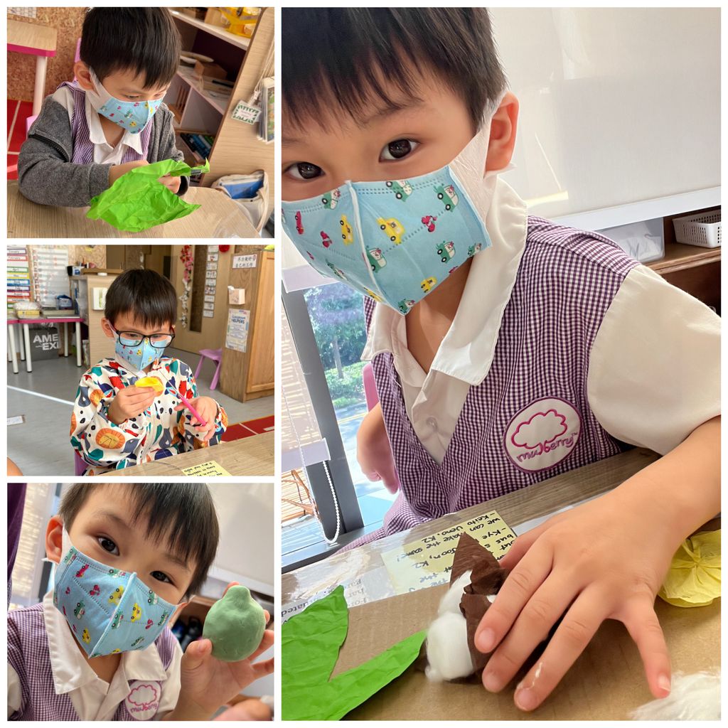 Investigating How Plants Grow π±π - Observing The Life Cycles of Our Plants (Cotton Plant) β photo 5