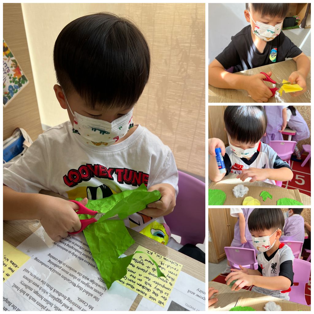 Investigating How Plants Grow π±π - Observing The Life Cycles of Our Plants (Cotton Plant) β photo 6
