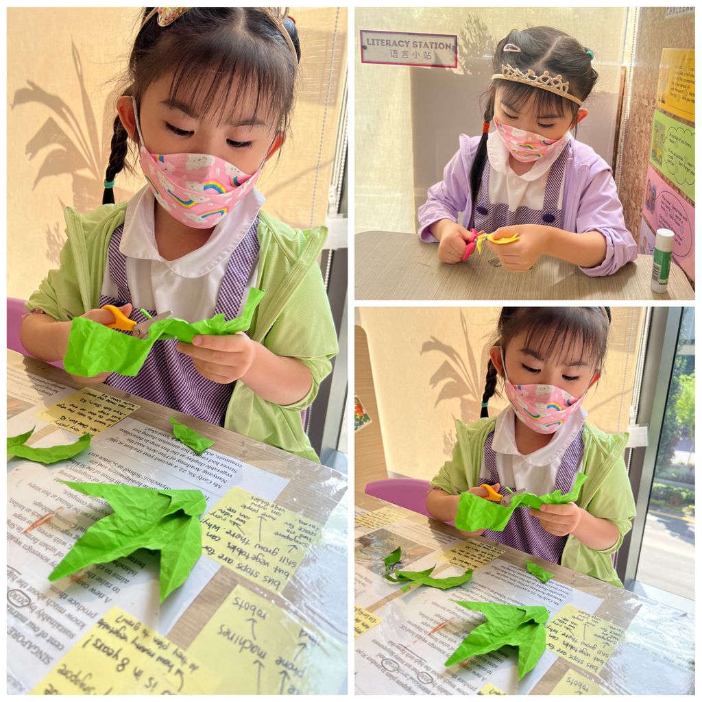 Investigating How Plants Grow π±π - Observing The Life Cycles of Our Plants (Cotton Plant) β photo 7