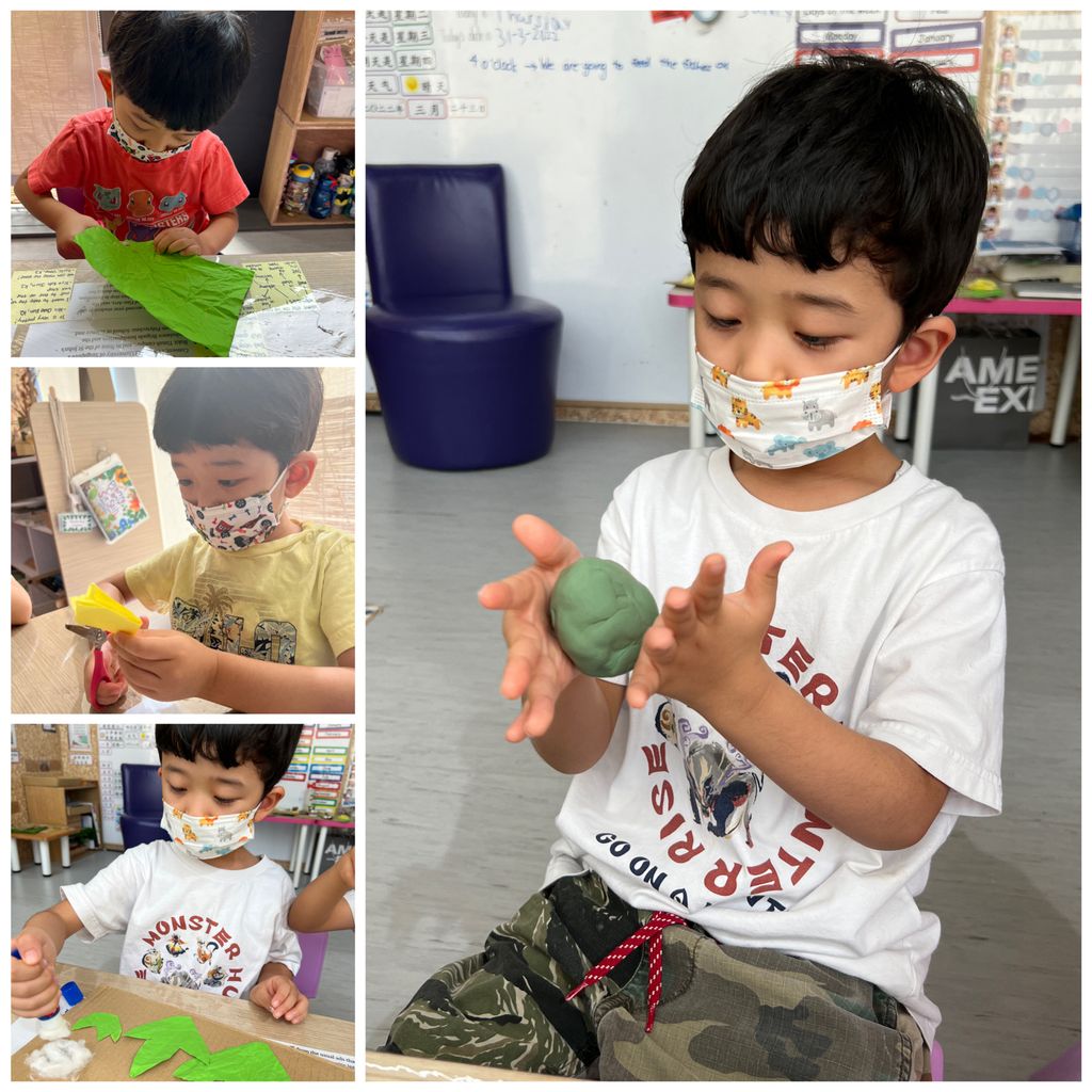 Investigating How Plants Grow π±π - Observing The Life Cycles of Our Plants (Cotton Plant) β photo 9