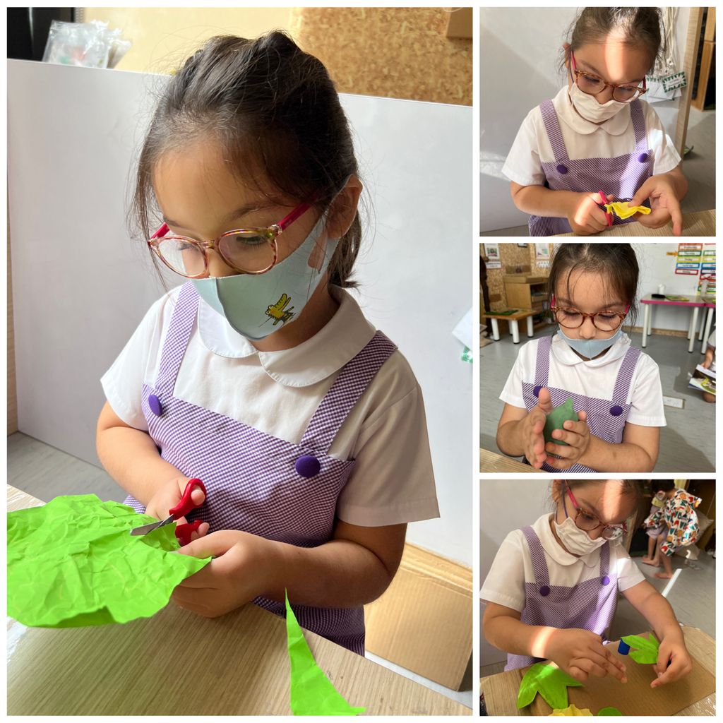 Investigating How Plants Grow π±π - Observing The Life Cycles of Our Plants (Cotton Plant) β photo 10