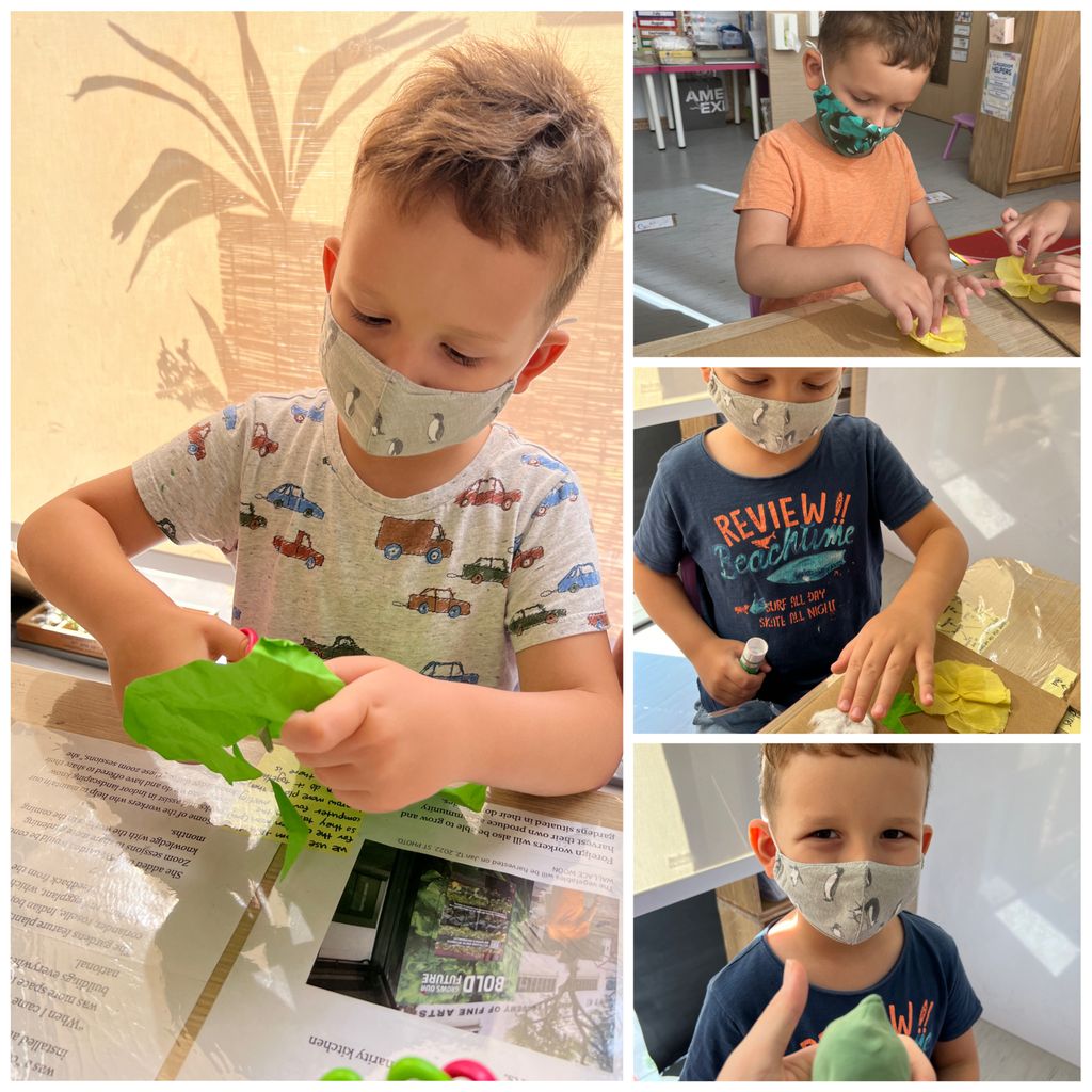 Investigating How Plants Grow π±π - Observing The Life Cycles of Our Plants (Cotton Plant) β photo 11