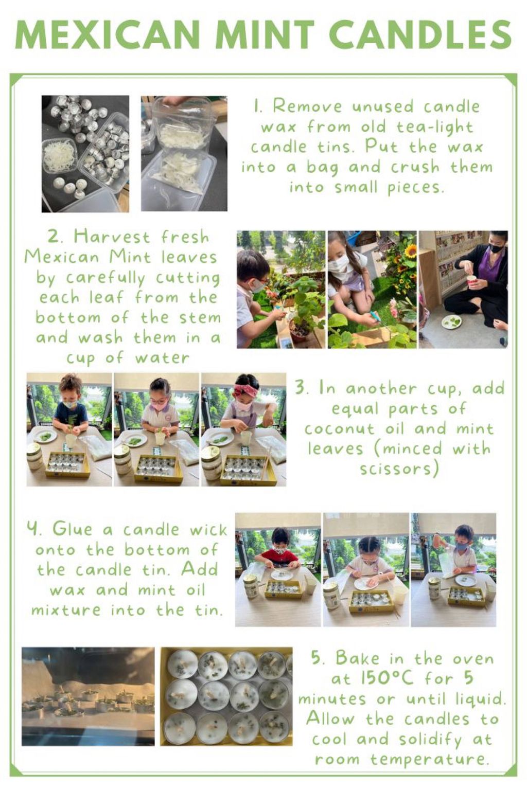Applying Our Knowledge about Plants π₯ΌπΏπ₯½ - How Can We Use Plants in our Daily Lives? (Candles)