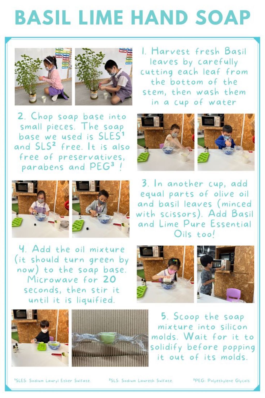 Applying Our Knowledge about Plants 🥼🌿🥽 - How Can We Use Plants in our Daily Lives? (Soap)