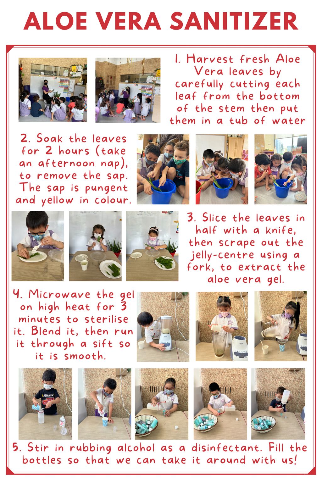 Applying Our Knowledge about Plants π₯ΌπΏπ₯½ - How Can We Use Plants in our Daily Lives? (Sanitizer)