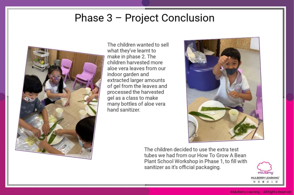 Applying Our Knowledge about Plants 🥼🌿🥽 - K2’s Everything Nice Shop — photo 3