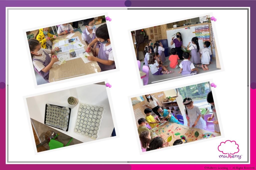 Applying Our Knowledge about Plants 🥼🌿🥽 - K2’s Everything Nice Shop — photo 5