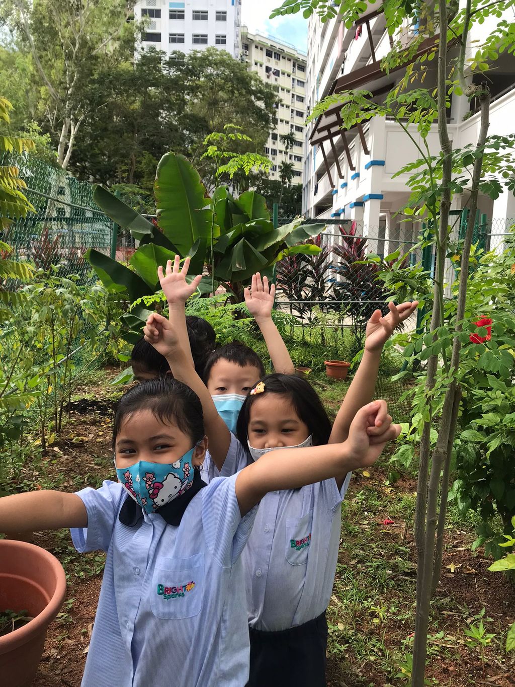 A Garden for Sustainability — photo 10