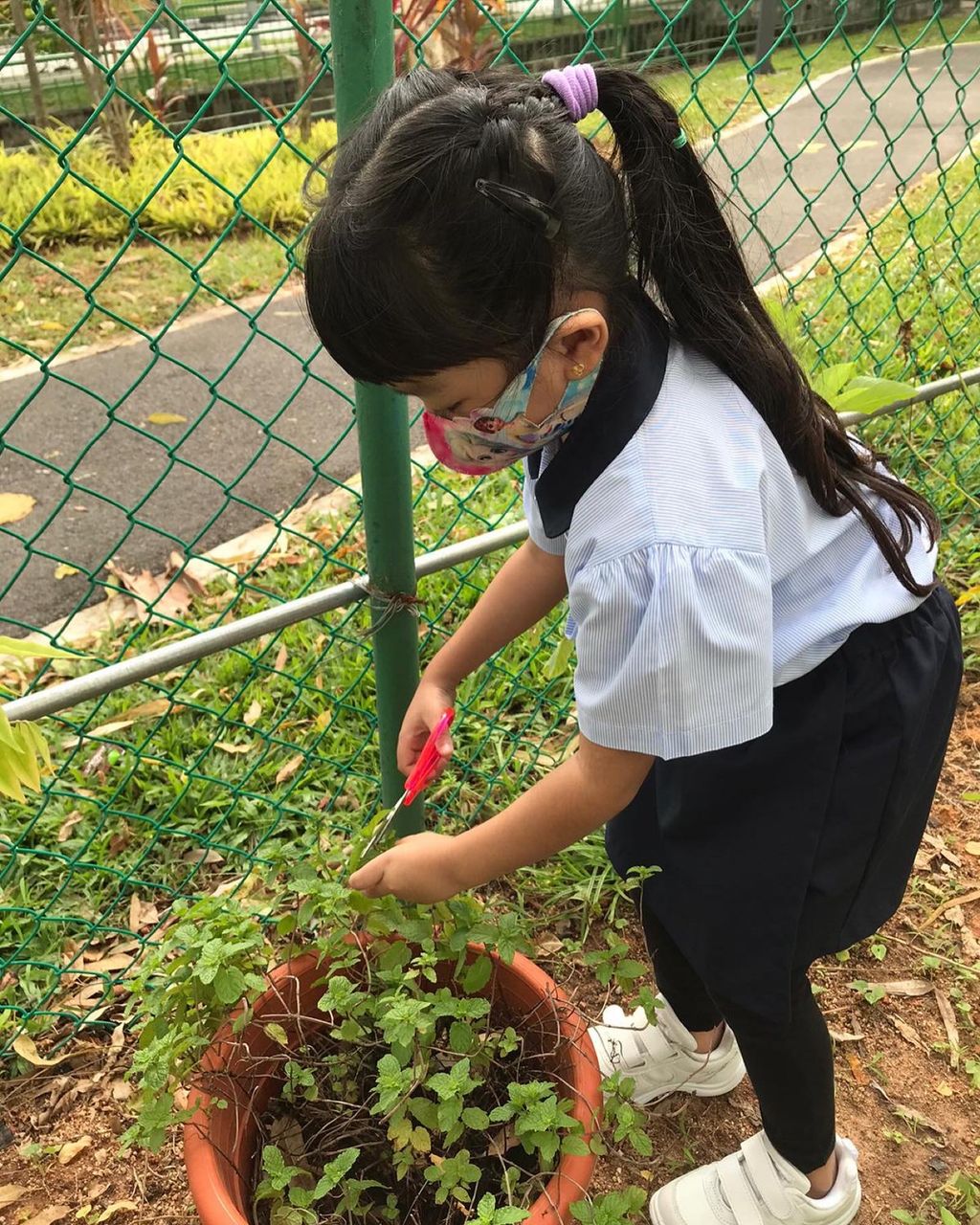 A Garden for Sustainability — photo 13