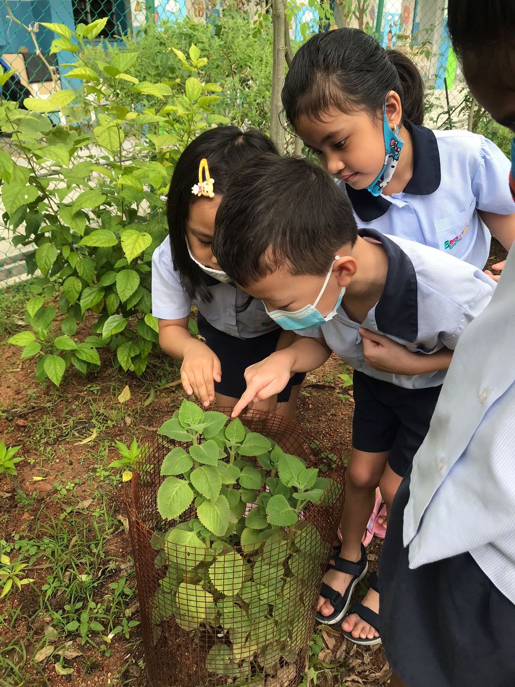 A Garden for Sustainability — photo 17