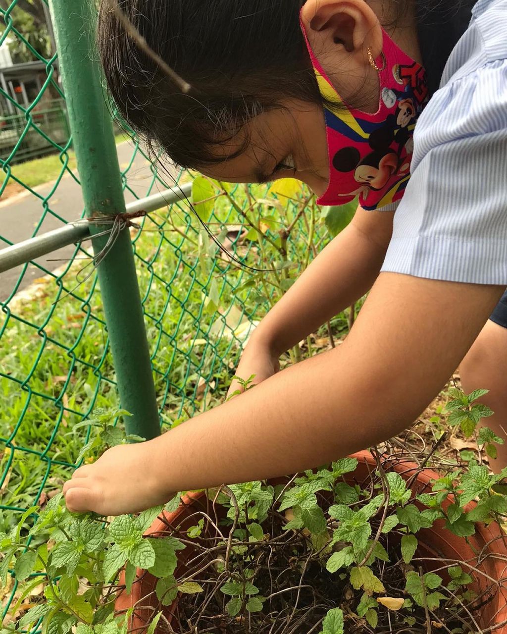 A Garden for Sustainability — photo 18
