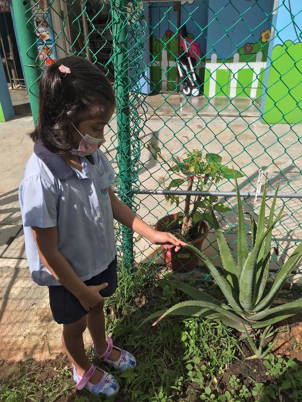 A Garden for Sustainability — photo 19
