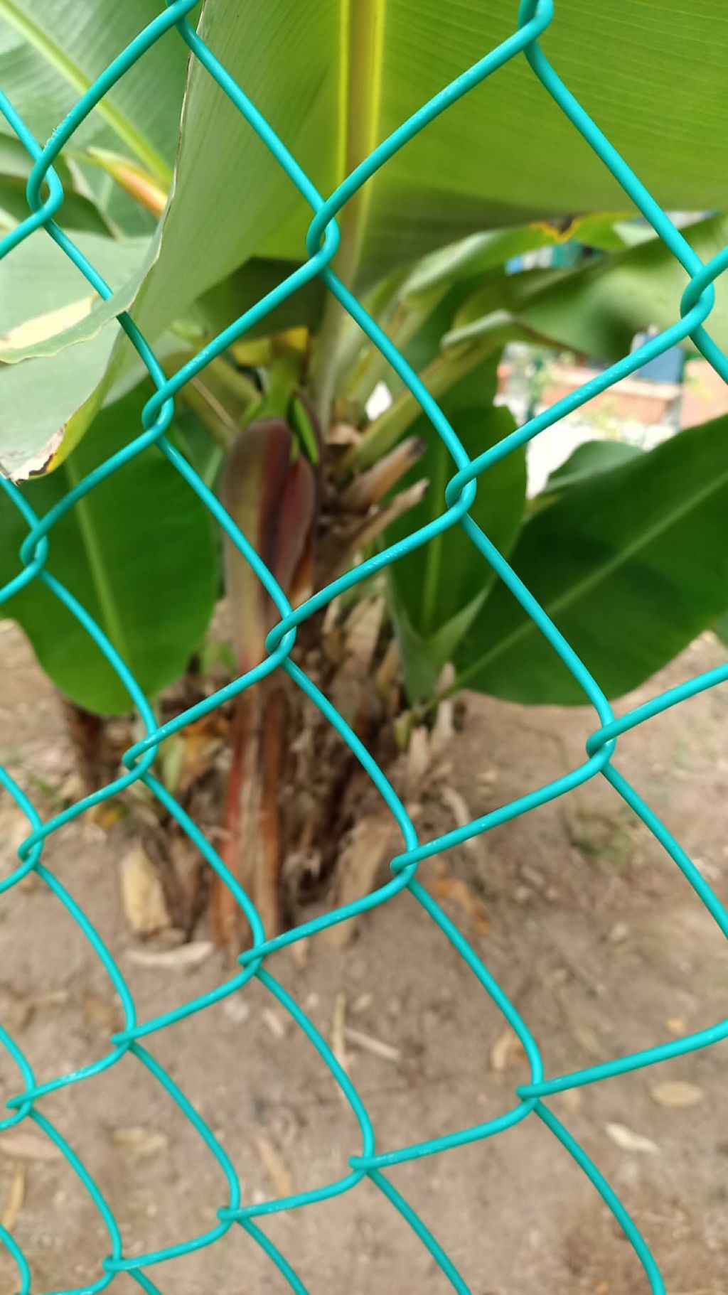 A Garden for Sustainability — photo 1