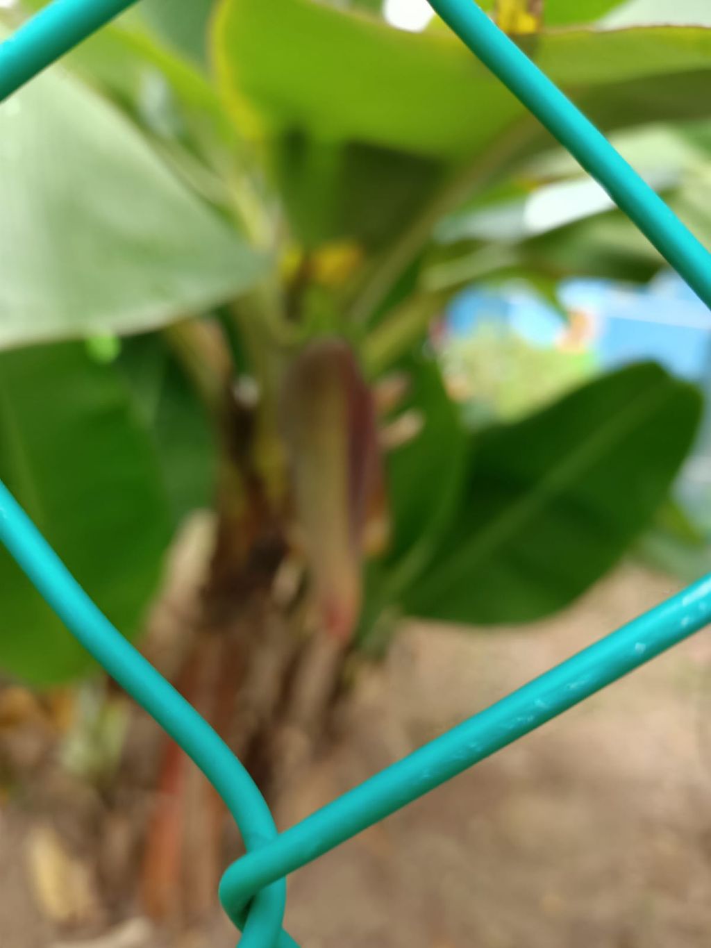 A Garden for Sustainability — photo 4