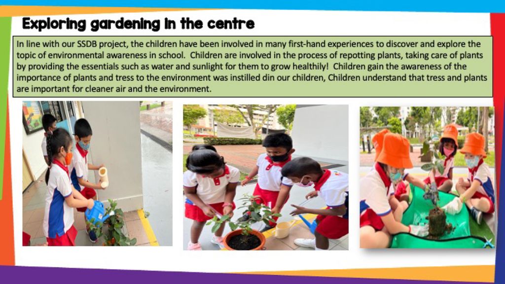 SSDB - Our Planting Project (Food Sustainability) — photo 3