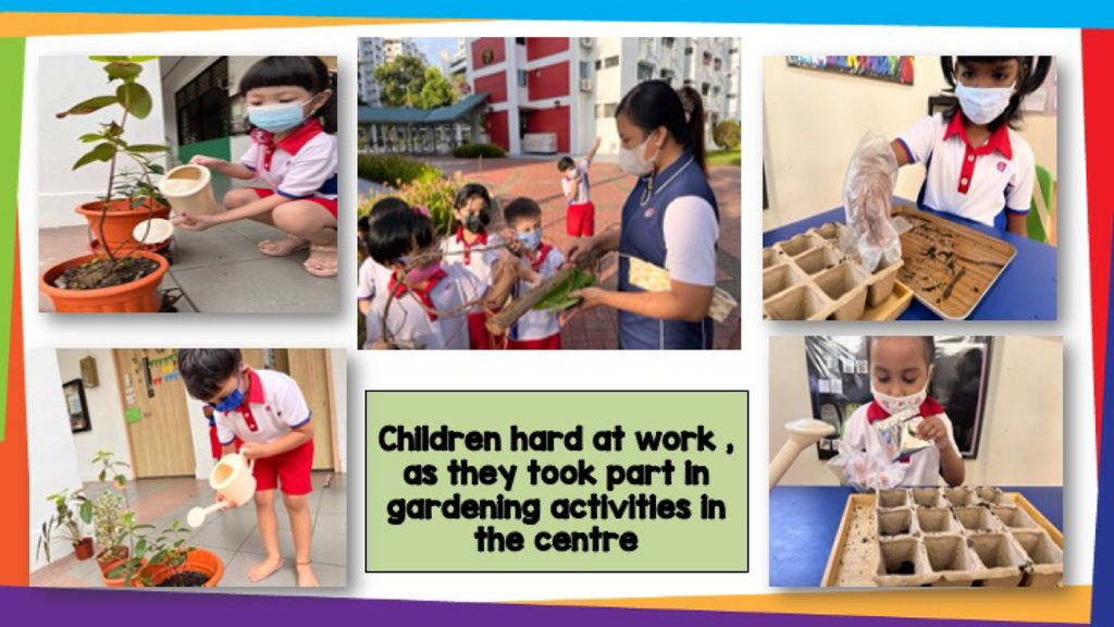 SSDB - Our Planting Project (Food Sustainability) — photo 4