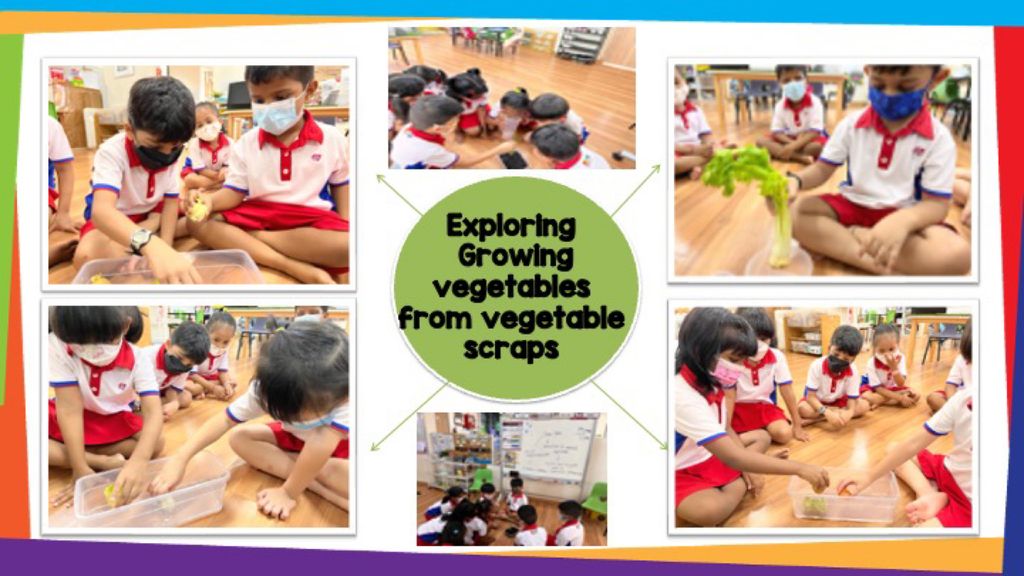 SSDB - Our Planting Project (Food Sustainability) — photo 5