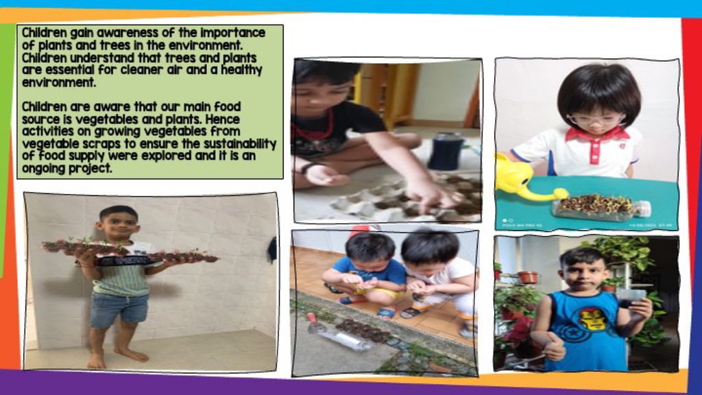 SSDB - Our Planting Project (Food Sustainability) — photo 8