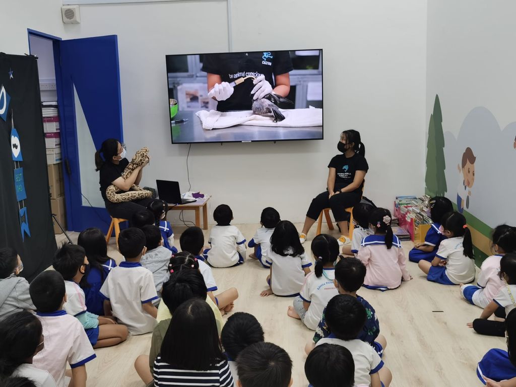 2022 SSDB Project by Little Footprints Preschool @ Ubi: Caring for Community and Companion Animals — photo 2