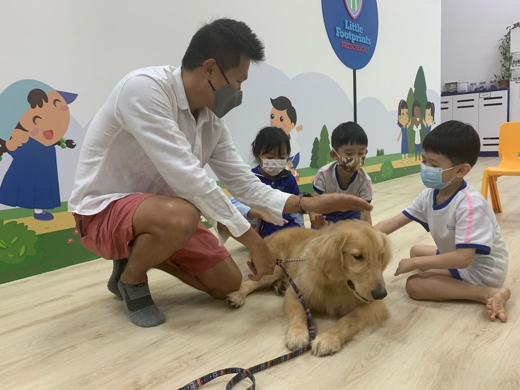 2022 SSDB Project by Little Footprints Preschool @ Ubi: Caring for Community and Companion Animals — photo 7