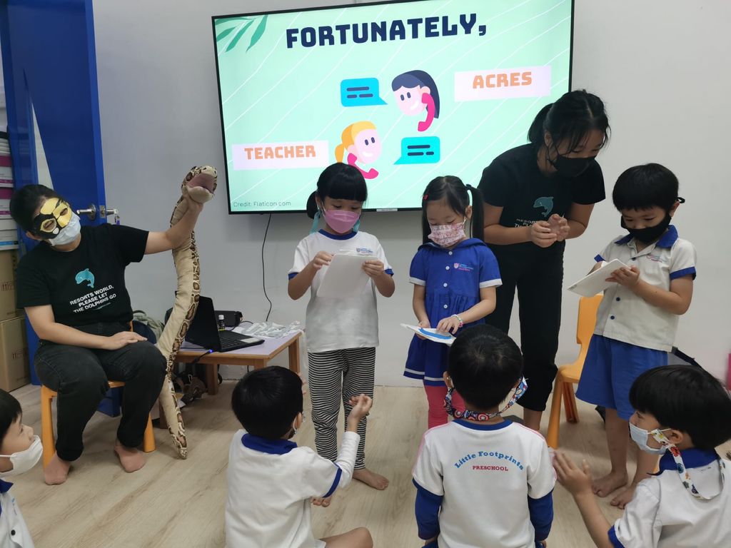 2022 SSDB Project by Little Footprints Preschool @ Ubi: Caring for Community and Companion Animals — photo 8