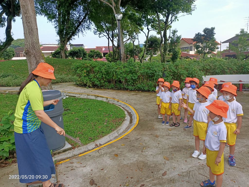 K1 - litter picking — photo 2