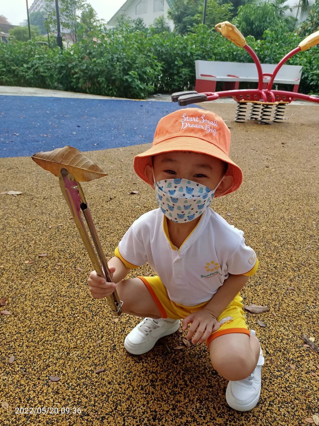 K1 - litter picking — photo 11