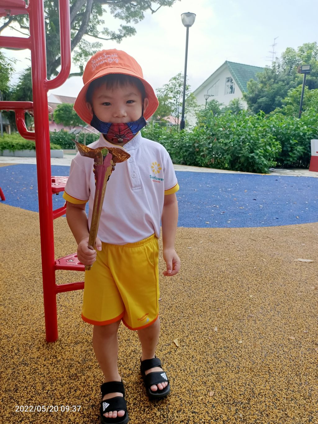 K1 - litter picking — photo 12
