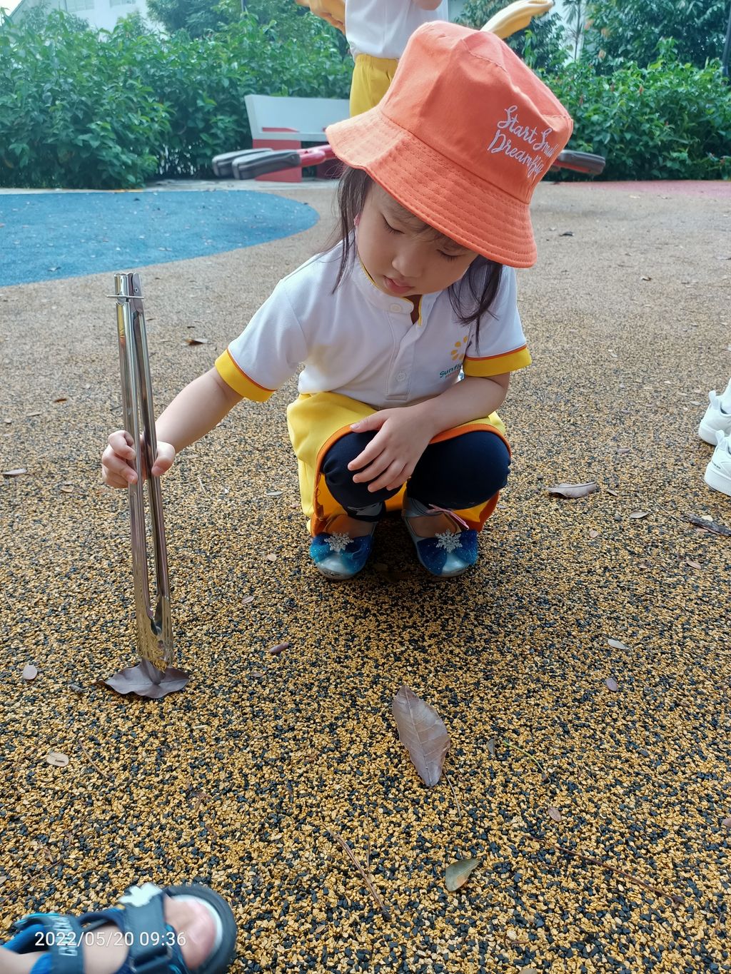 K1 - litter picking — photo 17