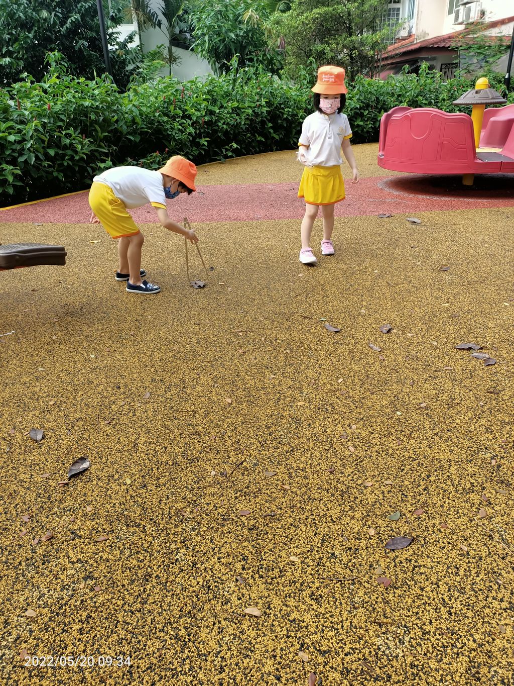 K1 - litter picking — photo 20