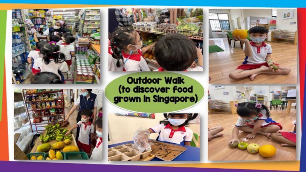 SSDB - Activities planned by our partner , Gardens By The Bay — photo 5