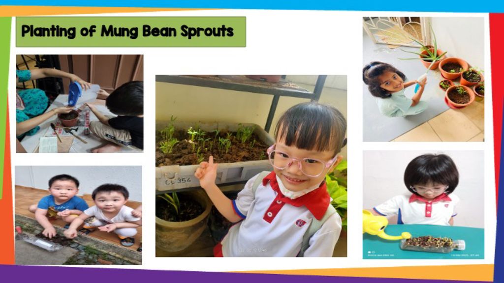 SSDB - Activities planned by our partner , Gardens By The Bay — photo 6