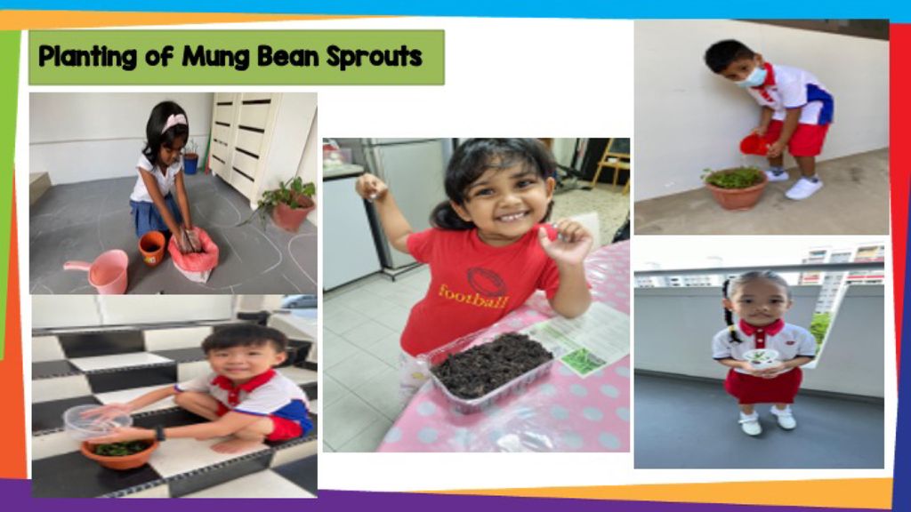 SSDB - Activities planned by our partner , Gardens By The Bay — photo 7