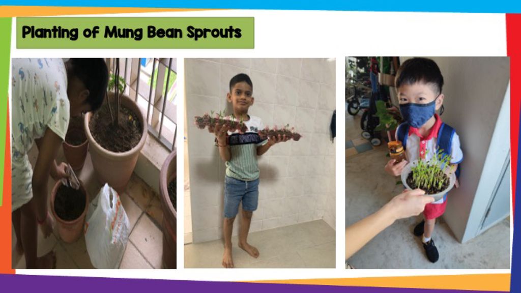 SSDB - Activities planned by our partner , Gardens By The Bay — photo 8