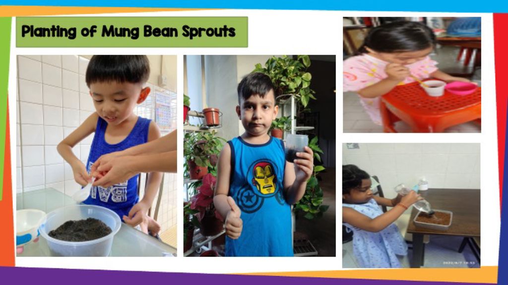 SSDB - Activities planned by our partner , Gardens By The Bay — photo 9