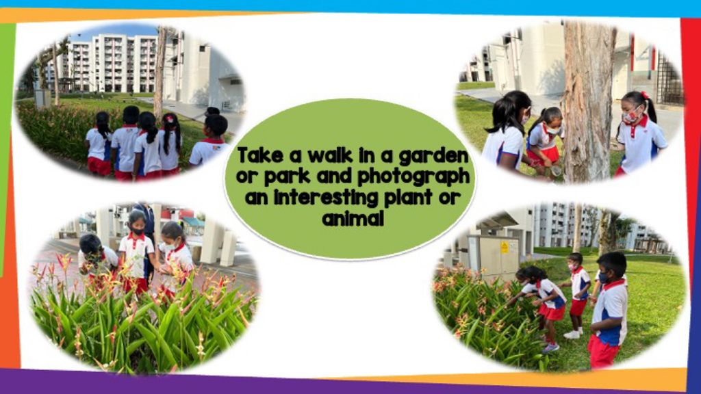 SSDB - Activities planned by our partner , Gardens By The Bay — photo 10
