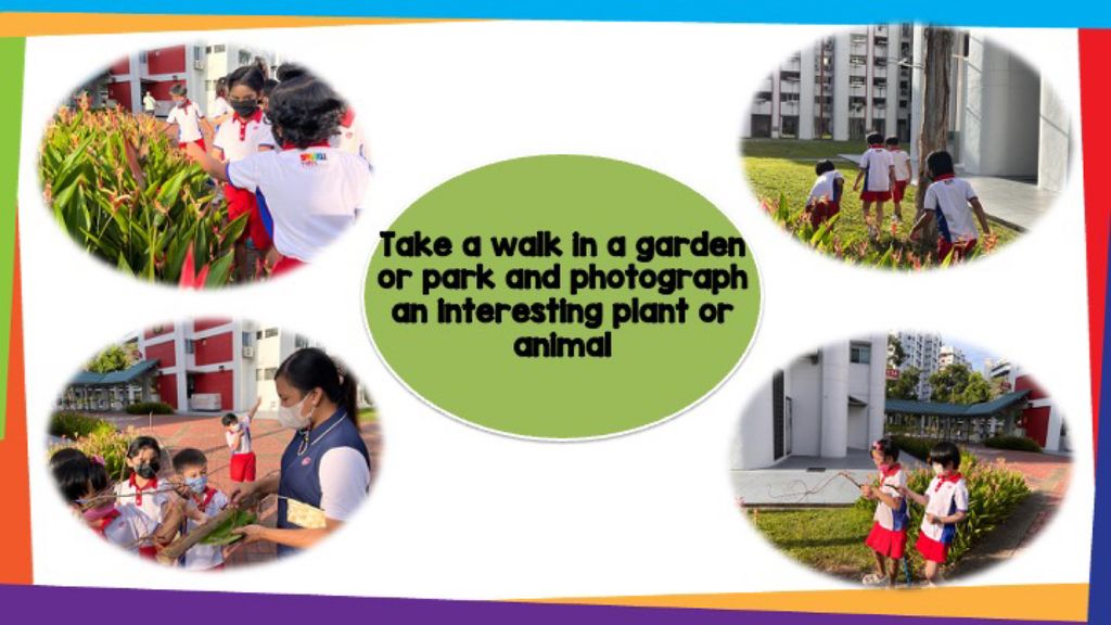 SSDB - Activities planned by our partner , Gardens By The Bay — photo 11