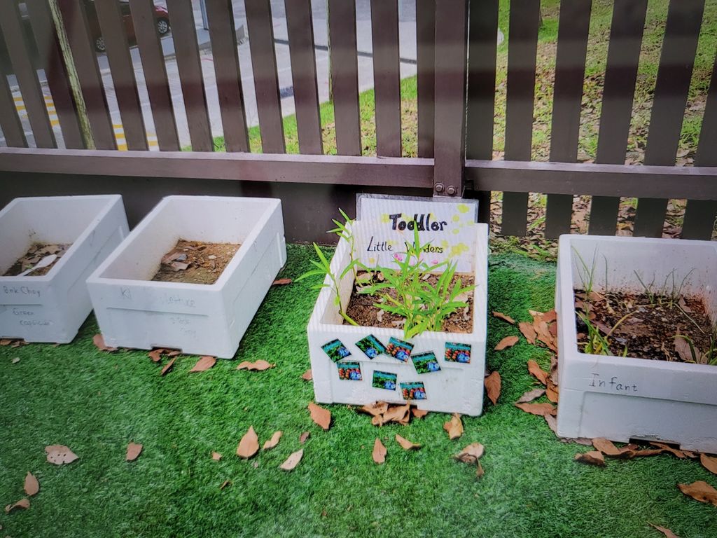 Blooming Garden - Workshop for Teachers