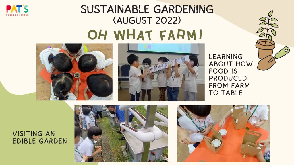Our Earth, Our Home (Caring for the Environment) — photo 1